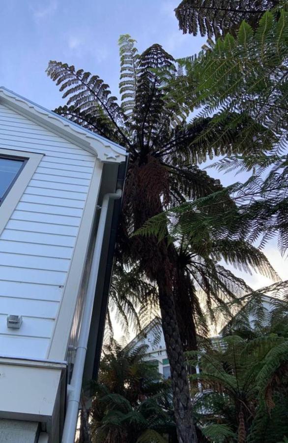 Tiny House In The Sky Hotel Dunedin Exterior foto